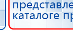 СКЭНАР-1-НТ (исполнение 01)  купить в Элисте, Аппараты Скэнар купить в Элисте, Официальный сайт Денас denaspkm.ru
